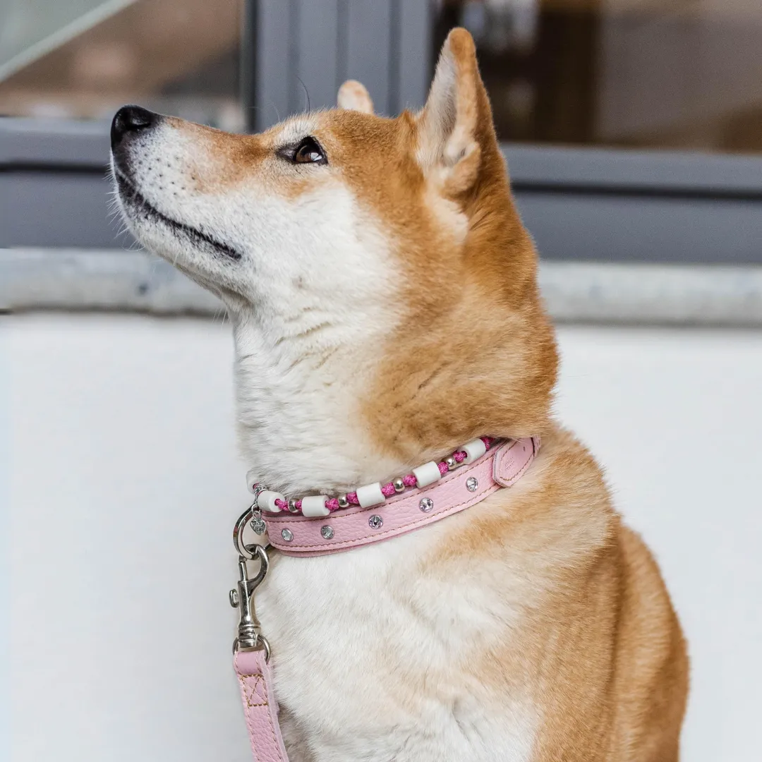 Hundehalsband Leder Silber Edition mit Strasssteinen Rosa